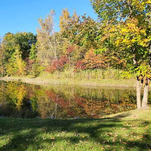 Centennial Farm 9 thumbnail